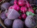 Как вырастить сладкую свёклу: советы для дачников