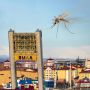В завершении дня и недели: дайджест событий в Салехарде и на Ямале