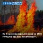 На Ямале действуют 22 природных пожара (Пуровский, Красноселькупский, Надымский районы)