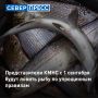 С 1 сентября 2026 года вступают в силу упрощенные правила получения разрешений на вылов рыбы для представителей КМНС
