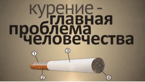Как эффективно и без стресса бросить курить: советы и методы