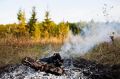 На Ямале за сутки потушили 16 лесных пожаров
