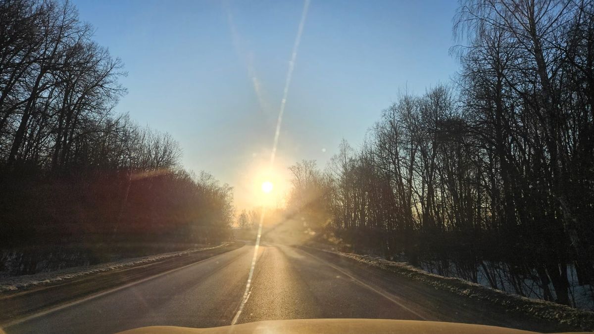 Загородная жизнь: радости и казусы, о которых стоит знать