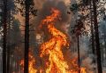 На Ямале огонь охватил более 3,5 тысячи гектаров