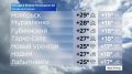 До +29 и кратковременные дожди: погода на Ямале 23 июня