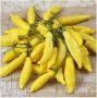 Перец Лемон Дроп: удивительный сорт с лимонным вкусом и ярким цветом