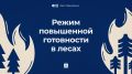 На Ямале введён режим повышенной готовности в лесах