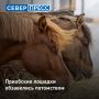 � ��������� ������ ��������� � ��������� ��� �������� ���� ������� ��������� ������, �������� �����-������ ����������� �����