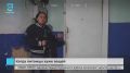 Питомцы хуже вещи? Животных бросили в расселённом доме