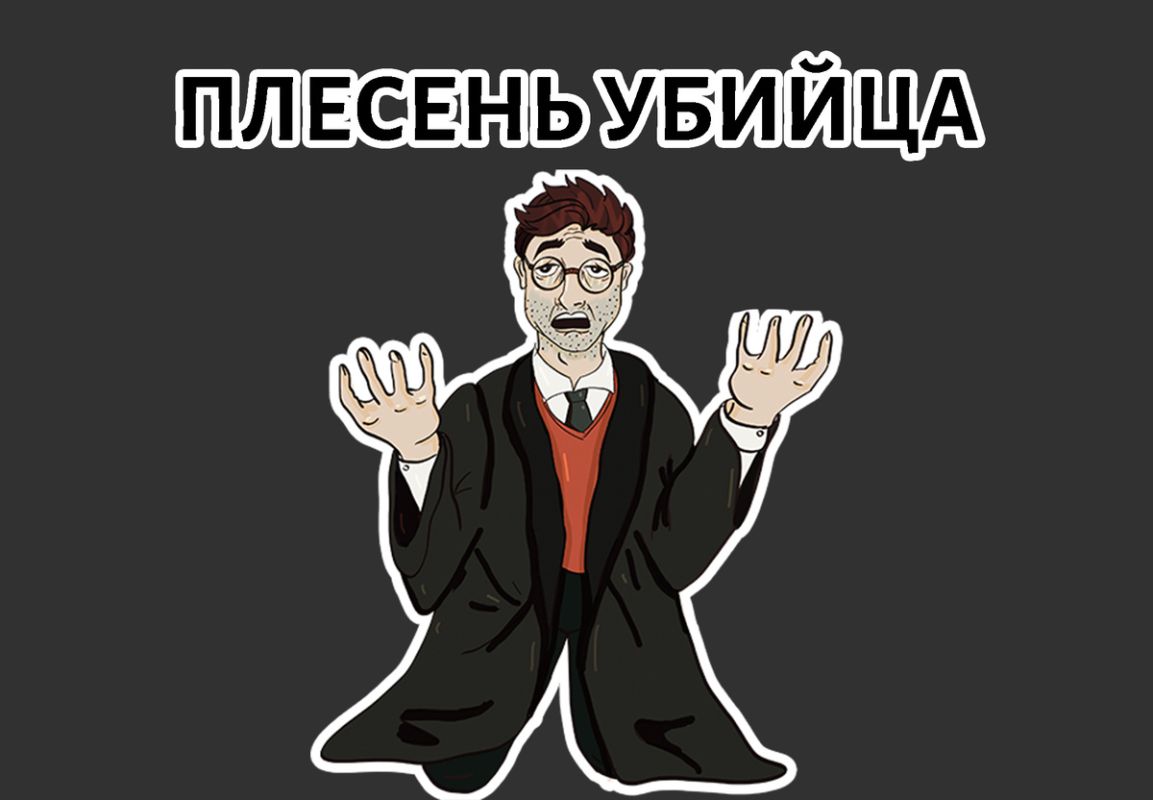 Плесень в доме: почему стоит обратить на это внимание прямо сейчас