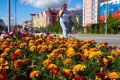 Салехард расцветает: в городе продолжается озеленение