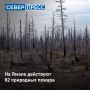 На Ямале 4 июля действуют 82 природных пожара