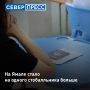 Выпускница имени Ярослава Василенко Милана Фархадова стала еще одной стобалльницей Ямала