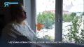 Открытые окна — смертельная ловушка для питомцев