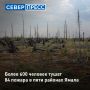 К утру 5 июля в лесах Ямала бушуют 84 природных пожара