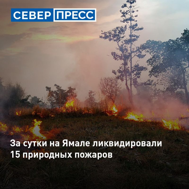 На Ямале по состоянию на утро 6 июля действуют 70 природных пожаров в Пуровском, Красноселькупском и Надымском районах, сообщили в окружных службах