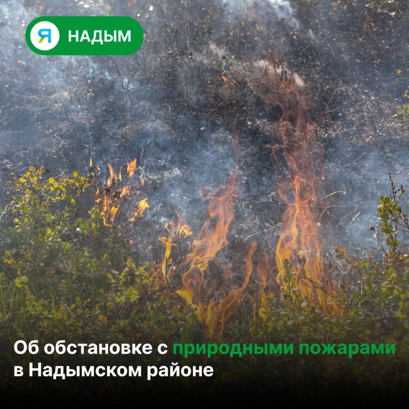 На территории Надымского района зафиксировано пять природных пожаров