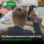Подать заявление на зачисление в первый класс можно в любую школу