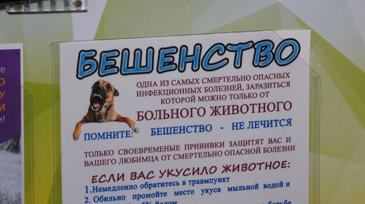 Пока вы спали: что произошло на Ямале, в мире и России Пока вы спали: что произошло на Ямале, в мире и России