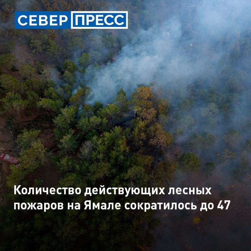 На Ямале по состоянию на утро 7 июля действуют 47 природных пожаров в Пуровском, Красноселькупском и Надымском районах, сообщили в окружных службах