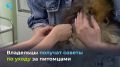 Девятого июля во всех государственных ветклиниках Ямала пройдёт День здорового питомца