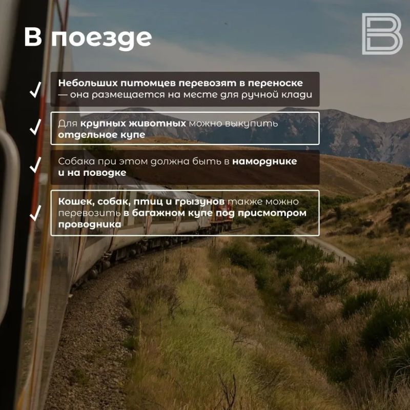 Всегда рядом: как путешествовать с домашними питомцами Всегда рядом: как путешествовать с домашними питомцами