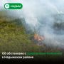 В Надымском районе действуют пять природных пожаров