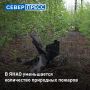 На Ямале сокращается число природных пожаров