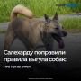 � ��������� ������ ��������� ��������, �� ������� �������� ��������� ������ ������ �������� ��������