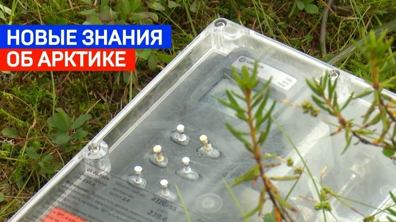 Топи тундры с комарами и мошками — не беда! Главное — извлечь из вечной мерзлоты новые знания об Арктике