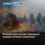 На Ямале по состоянию на утро 10 июля действуют 29 природных пожаров в Пуровском, Красноселькупском и Надымском районах