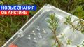Топи тундры с комарами и мошками — не беда! Главное — извлечь из вечной мерзлоты новые знания об Арктике