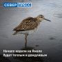 ������ ������ �� ����� ����� ��������, �� ������