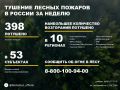 По данным Авиалесоохраны, подведомственной организации Рослесхоза, за прошедшую неделю потушено 398 лесных пожаров в 32 регионах России