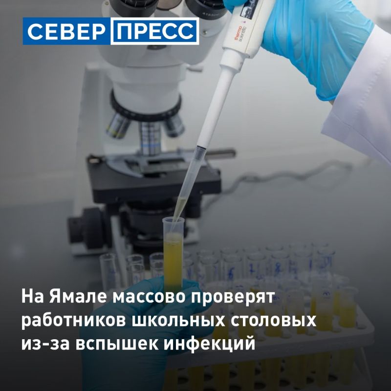 На Ямале перед началом учебного года массово проверят сотрудников школьных и детсадовских пищеблоков