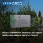Более 2800 деревьев высадили на Ямале в этом году в рамках всероссийской акции «Сад Памяти»
