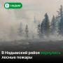 Сегодня в Надымском районе тушат природный пожар
