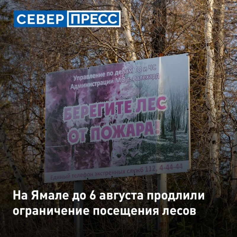 Департамент природных ресурсов и экологии Ямала продлил ограничения на пребывание граждан в лесах и въезд транспортных средств на территории Красноселькупского, Надымского, Ноябрьского, Таркосалинского и Ямальского лесничеств