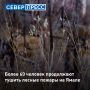 На утро 17 июля на Ямале продолжают борьбу с четырьмя природными пожарами