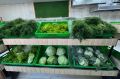 Сыроедение: риск для здоровья или новый стиль жизни?