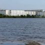 С добрым утром!. План на эту пятницу: красиво ворваться в рабочий день, сделать все дела на лету и так же стремительно умчаться навстречу выходным Фото: Анастасия Коваленко/“Ямал-Медиа” Надым | Ямал-Медиа | Читать нас в Mакс