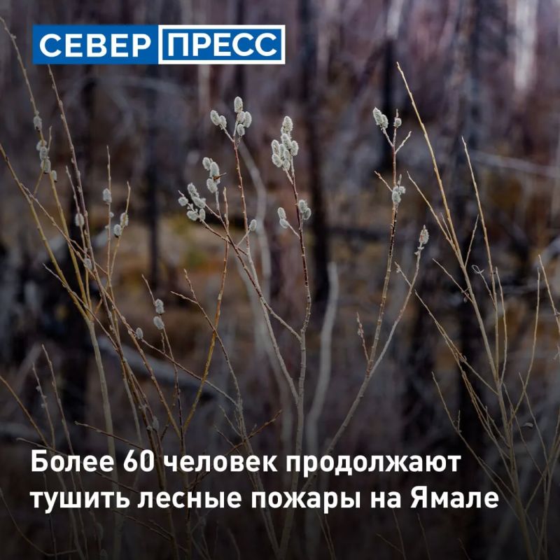 На утро 17 июля на Ямале продолжают борьбу с четырьмя природными пожарами