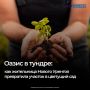 Ольга Грекова из Нового Уренгоя доказала, что суровый климат Крайнего Севера не помеха для садоводства