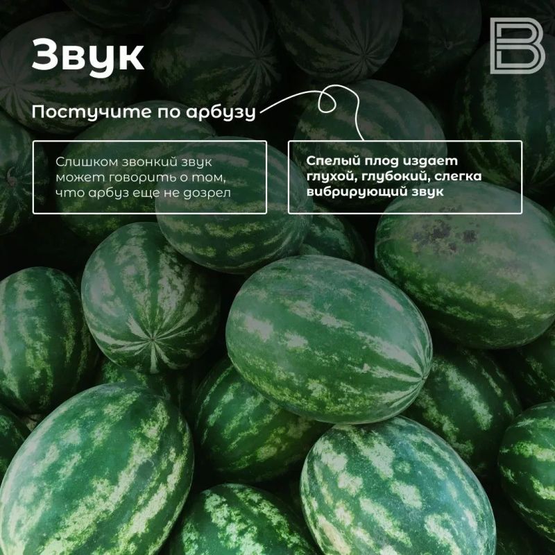 ������, �������: ��� ������� ����� ������� �����?