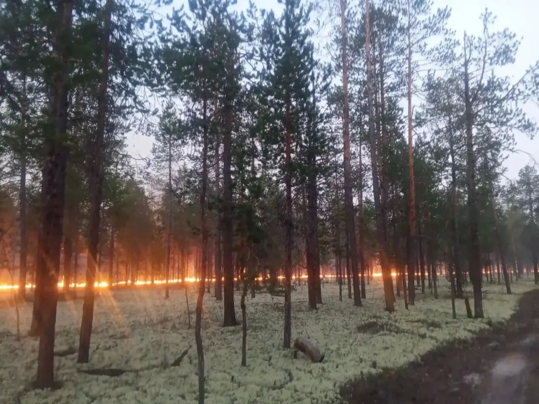 Спасатели сдерживают огонь в Красноселькупском районе Спасатели сдерживают огонь в Красноселькупском районе