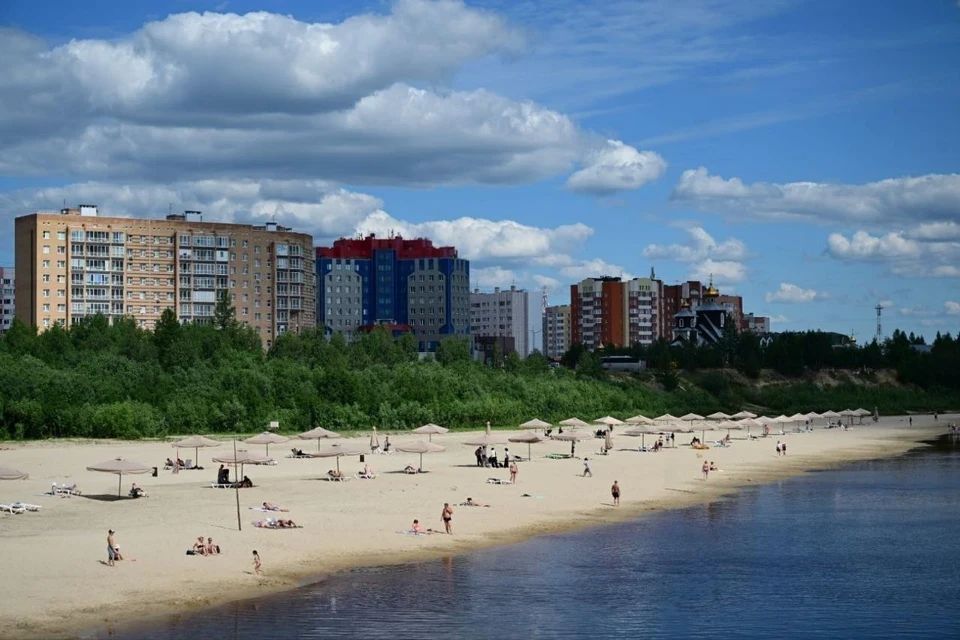 Собрались на городской пляж? Питомца придётся оставить дома!