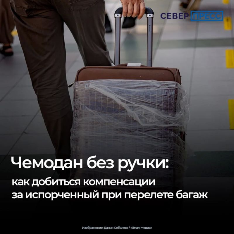 Поврежденный после авиаперелета багаж — это не редкость, но далеко не все пассажиры знают, как правильно зафиксировать проблему и получить компенсацию