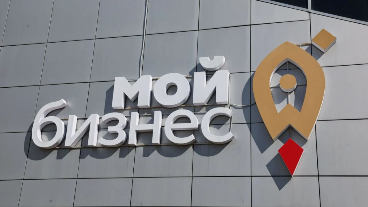 Начинающим ямальским предпринимателям помогут наставники