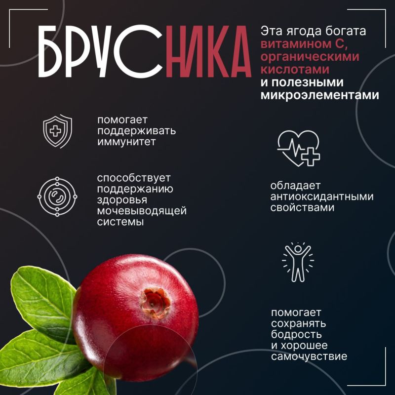 С июля по сентябрь тундра щедро делится своими дарами С июля по сентябрь тундра щедро делится своими дарами