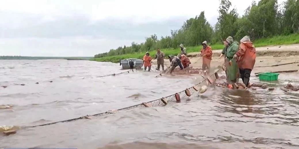 Рыбаки Тазовского района оказались на грани срыва путины — не хватало мощностей и хранилищ Рыбаки Тазовского района оказались на грани срыва путины — не хватало мощностей и хранилищ